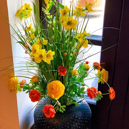 Flora Panzio 3*