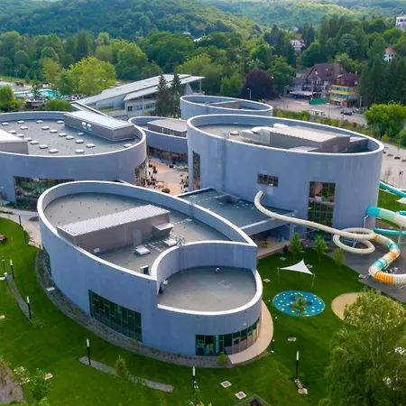 Flora Panzio Miskolc