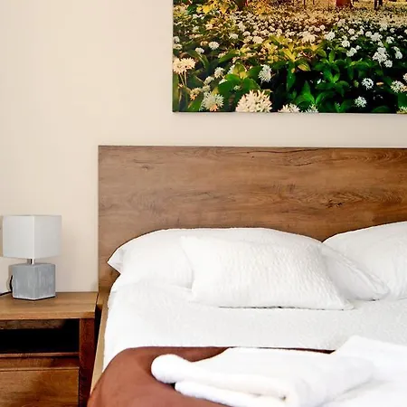 Flora Panzio Miskolc