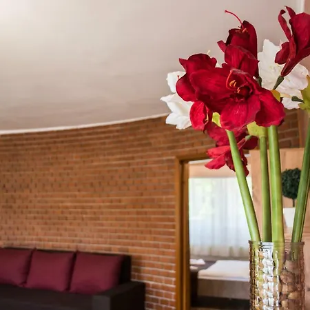 Guest house Flora Panzio 3*