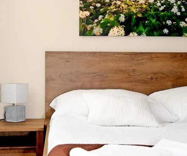 Flora Panzio Мишкольц