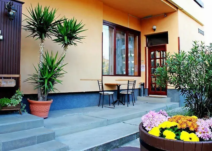 Pensionat Flora Panzio